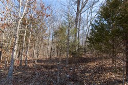 Oconnor Crossing Tract 24