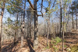 Oconnor Crossing Tract 24