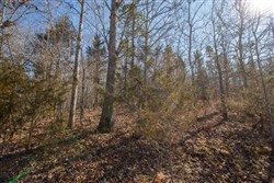 Oconnor Crossing Tract 24