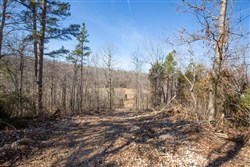 Oconnor Crossing Tract 24