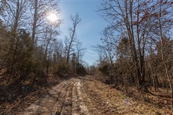 Oconnor Crossing Tract 24