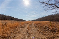 Oconnor Crossing Tract 27