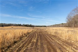 Oconnor Crossing Tract 31