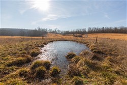 Oconnor Crossing Tract 31