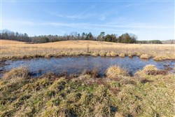 Oconnor Crossing Tract 31