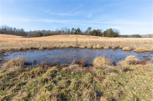 Oconnor Crossing Tract 31