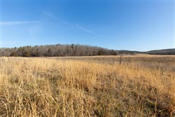 Oconnor Crossing Tract 31