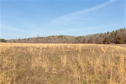 Oconnor Crossing Tract 31