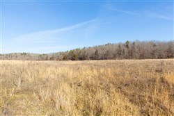 Oconnor Crossing Tract 31