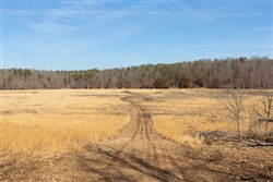 Oconnor Crossing Tract 36