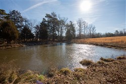 Oconnor Crossing Tract 36