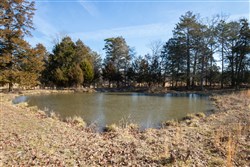 Oconnor Crossing Tract 36