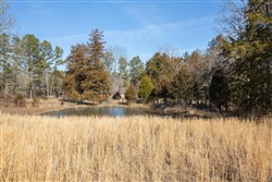 Oconnor Crossing Tract 36