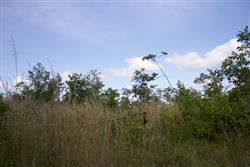 property photo for Thunder Mountain Ranch Tract 10, 5.01 acres for sale in Shannon County, Missouri