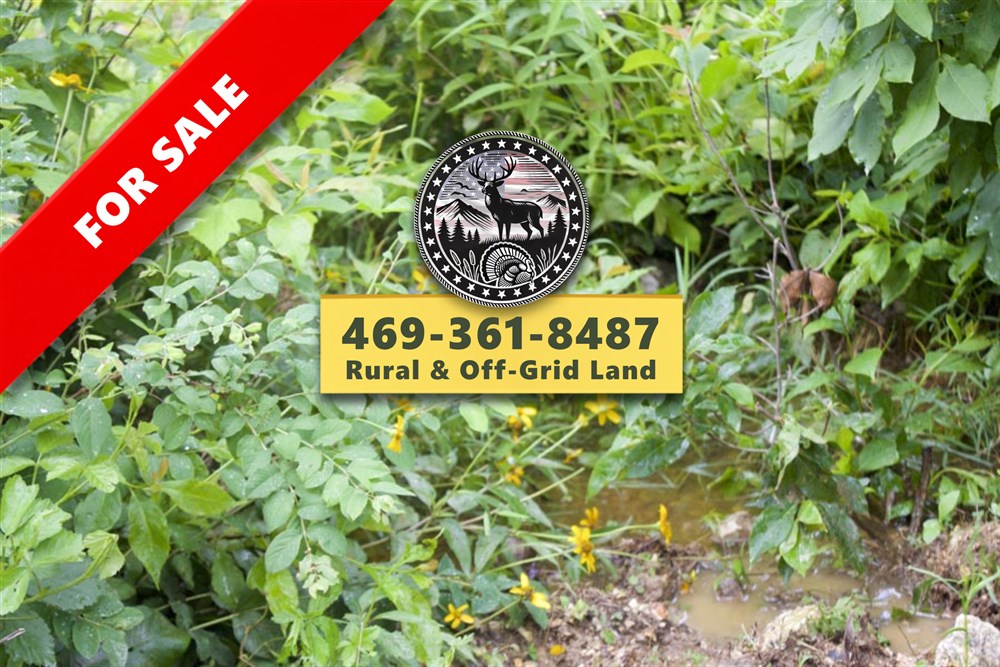 Thunder Mountain Ranch Tract 41 - Primary