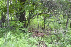 property photo for Thunder Mountain Ranch Tract 50, 10.09 acres for sale in Shannon County, Missouri
