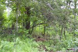 property photo for Thunder Mountain Ranch Tract 50, 10.09 acres for sale in Shannon County, Missouri