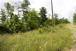 Thunder Mountain Ranch Tract 58