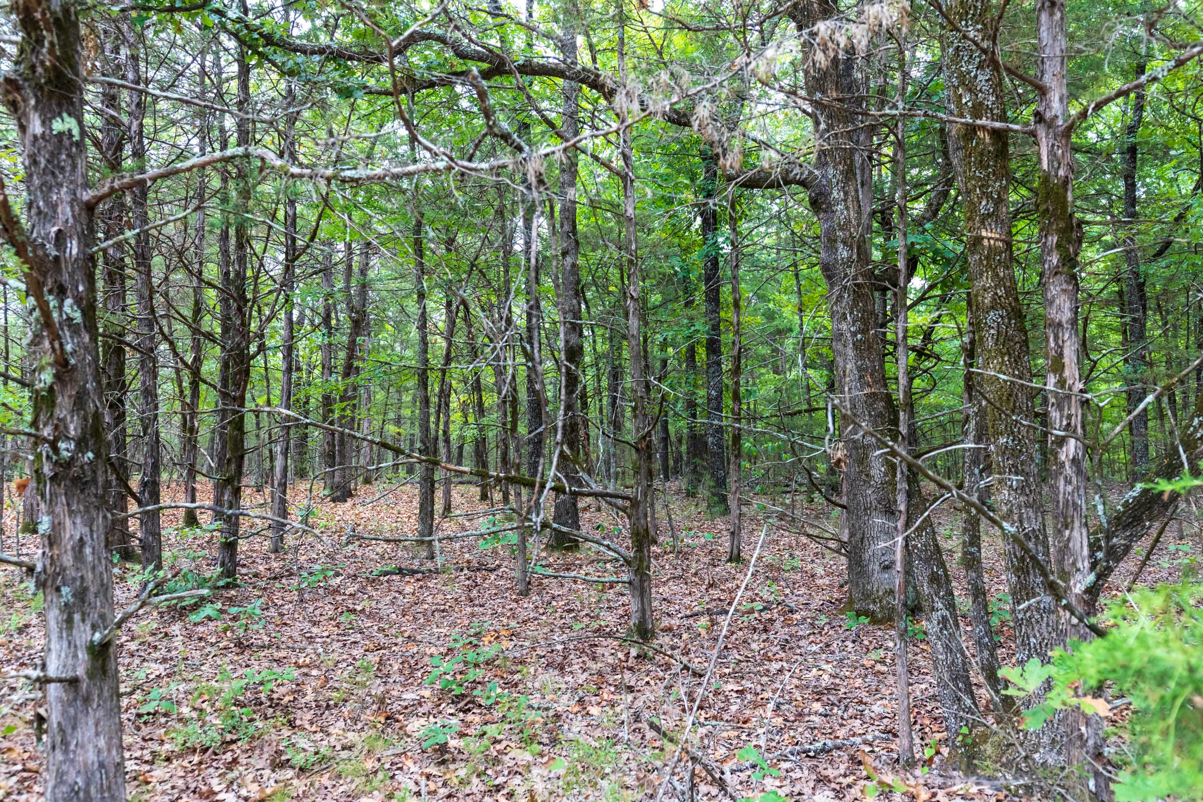 Tract 1 at Heritage Bend in Taney County, Missouri