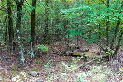 property photo for Heritage Bend Tract 1, 10 acres for sale in Taney County, Missouri