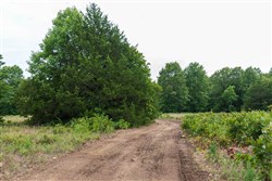 property photo for Heritage Bend Tract 10, 10.6 acres for sale in Taney County, Missouri