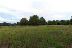 property photo for Heritage Bend Tract 10, 10.6 acres for sale in Taney County, Missouri