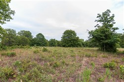property photo for Heritage Bend Tract 10, 10.6 acres for sale in Taney County, Missouri