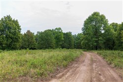 property photo for Heritage Bend Tract 10, 10.6 acres for sale in Taney County, Missouri