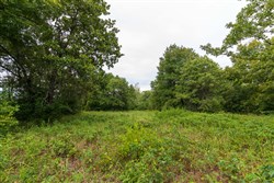 property photo for Heritage Bend Tract 10, 10.6 acres for sale in Taney County, Missouri