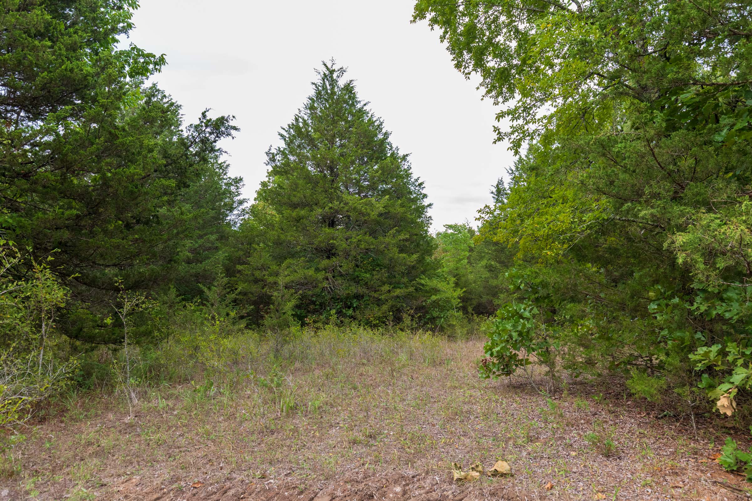 Tract 11 at Heritage Bend in Taney County, Missouri
