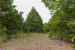 property photo for Heritage Bend Tract 11, 10.6 acres for sale in Taney County, Missouri