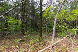property photo for Heritage Bend Tract 11, 10.6 acres for sale in Taney County, Missouri