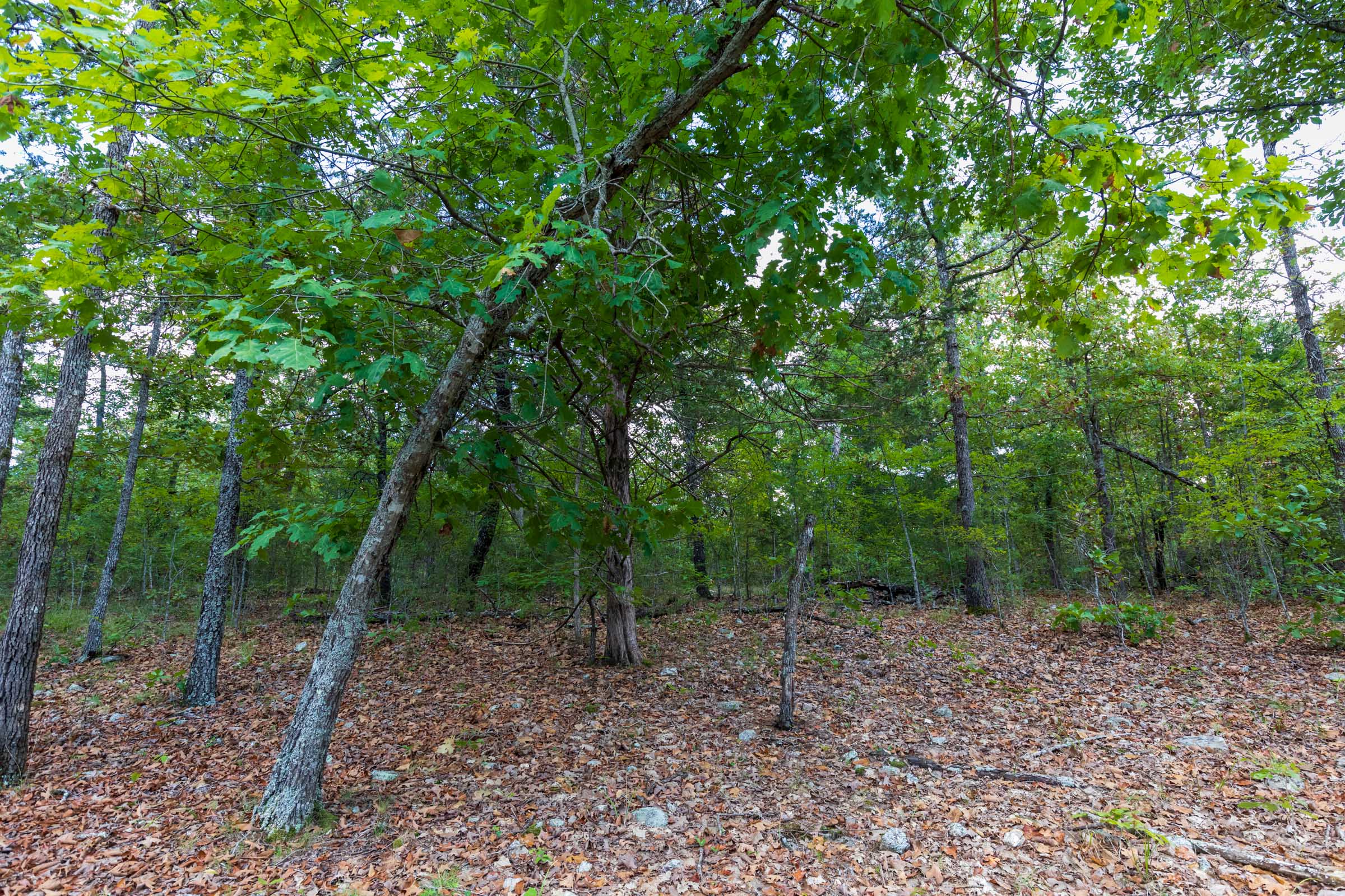Tract 12 at Heritage Bend in Taney County, Missouri
