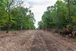 property photo for Heritage Bend Tract 12, 11.21 acres for sale in Taney County, Missouri