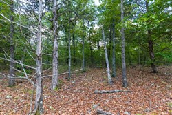 property photo for Heritage Bend Tract 12, 11.21 acres for sale in Taney County, Missouri