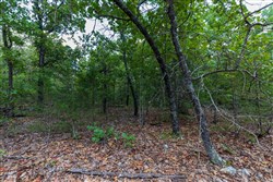 property photo for Heritage Bend Tract 12, 11.21 acres for sale in Taney County, Missouri
