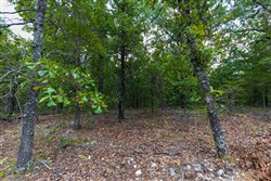 property photo for Heritage Bend Tract 12, 11.21 acres for sale in Taney County, Missouri