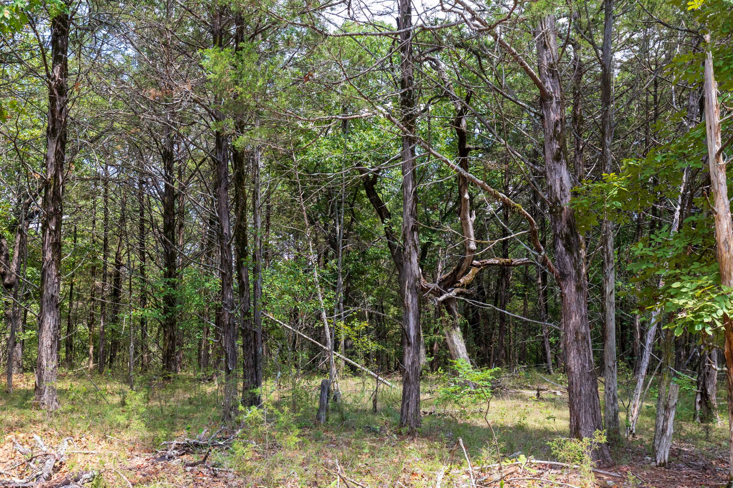 Tract 13 at Heritage Bend in Taney County, Missouri