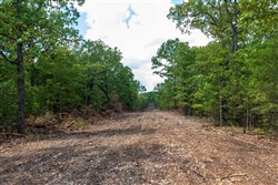 property photo for Heritage Bend Tract 13, 10.63 acres for sale in Taney County, Missouri