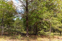 property photo for Heritage Bend Tract 13, 10.63 acres for sale in Taney County, Missouri