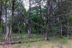 property photo for Heritage Bend Tract 13, 10.63 acres for sale in Taney County, Missouri