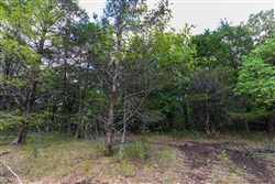 property photo for Heritage Bend Tract 13, 10.63 acres for sale in Taney County, Missouri