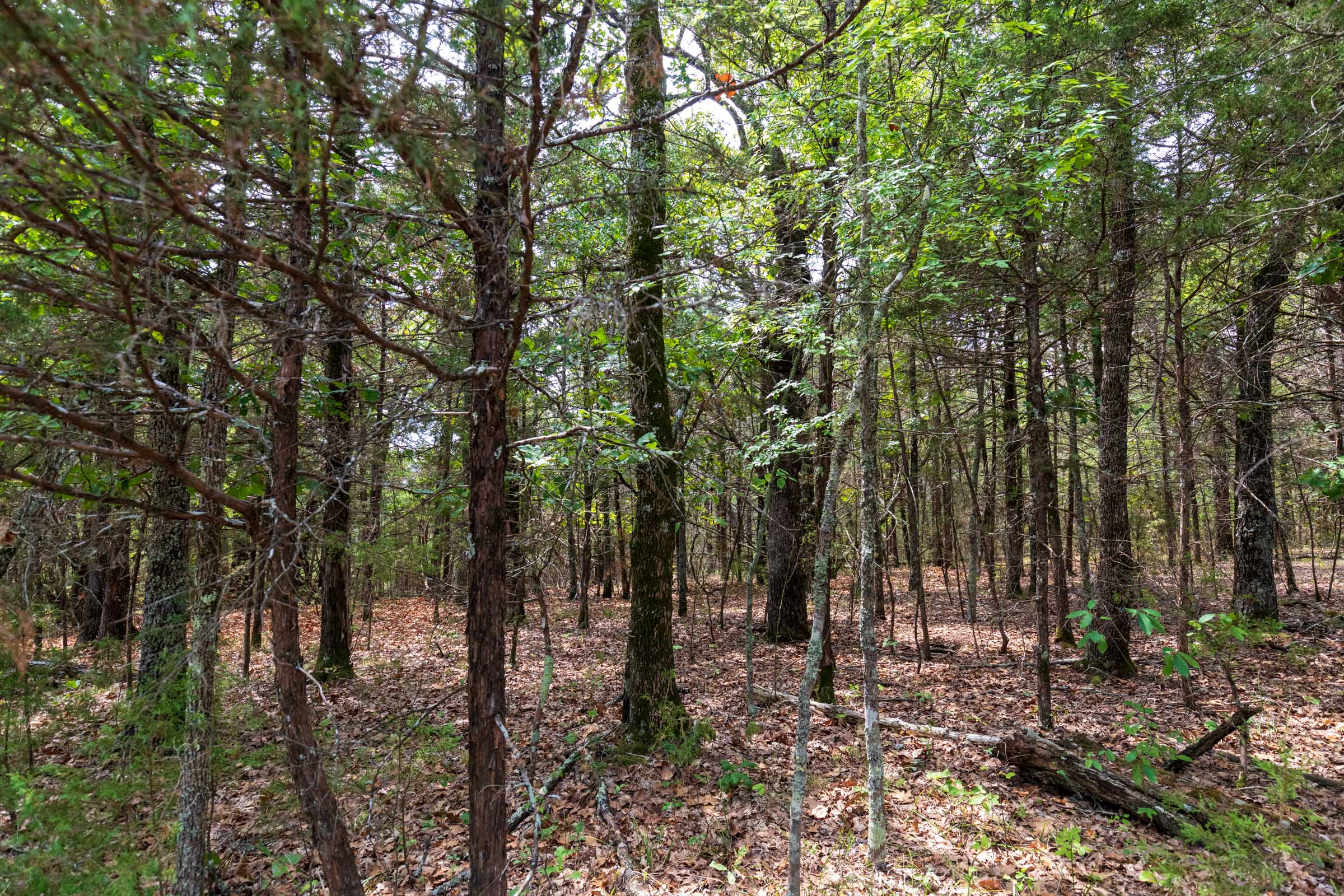 Tract 14 at Heritage Bend in Taney County, Missouri