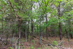 property photo for Heritage Bend Tract 14, 10.7 acres for sale in Taney County, Missouri