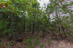 property photo for Heritage Bend Tract 14, 10.7 acres for sale in Taney County, Missouri