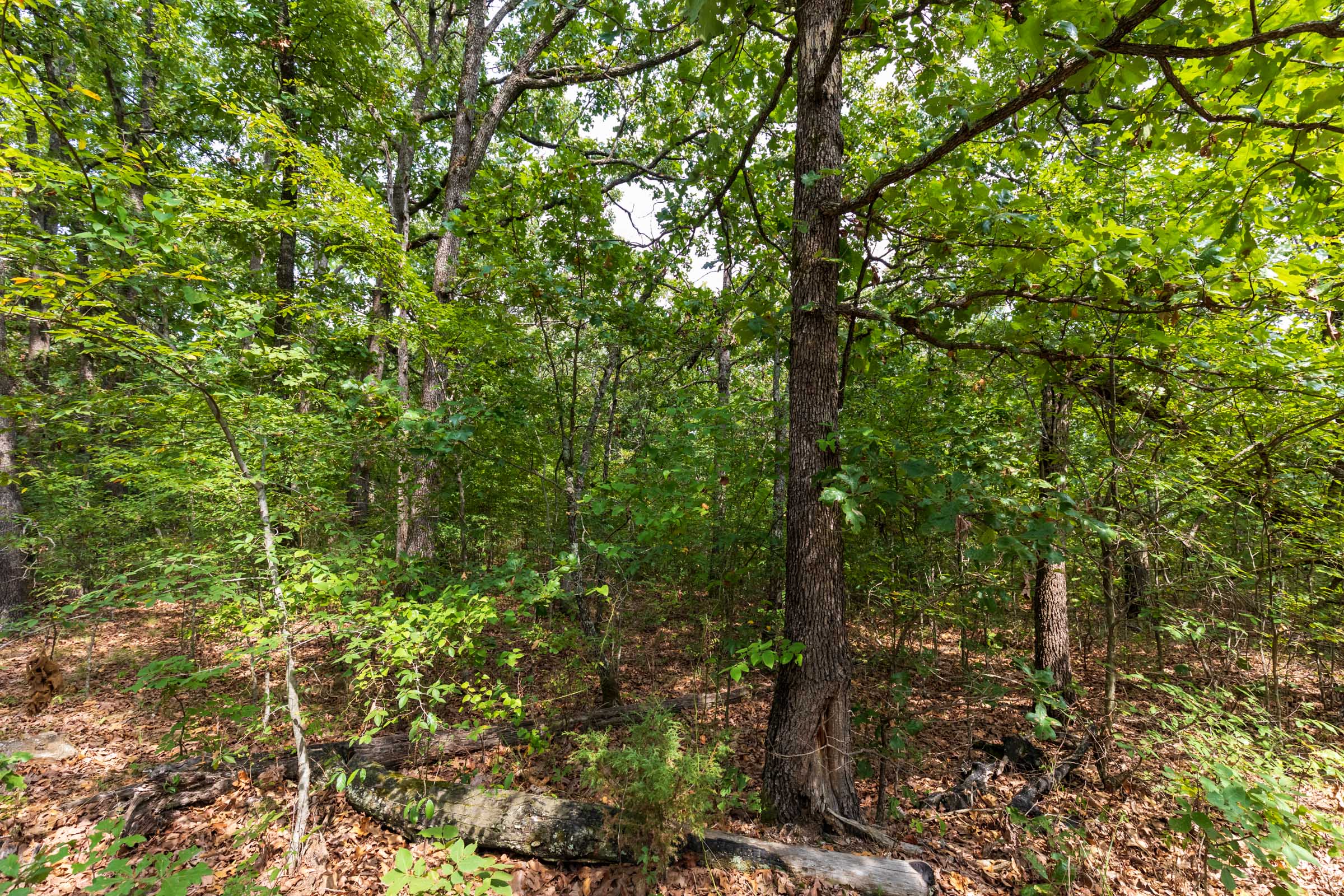 Tract 15 at Heritage Bend in Taney County, Missouri
