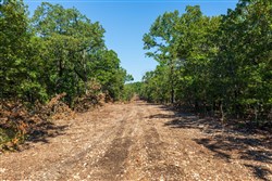 property photo for Heritage Bend Tract 15, 10.78 acres for sale in Taney County, Missouri