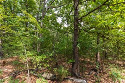 property photo for Heritage Bend Tract 15, 10.78 acres for sale in Taney County, Missouri