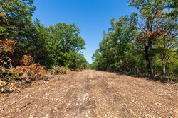 property photo for Heritage Bend Tract 15, 10.78 acres for sale in Taney County, Missouri