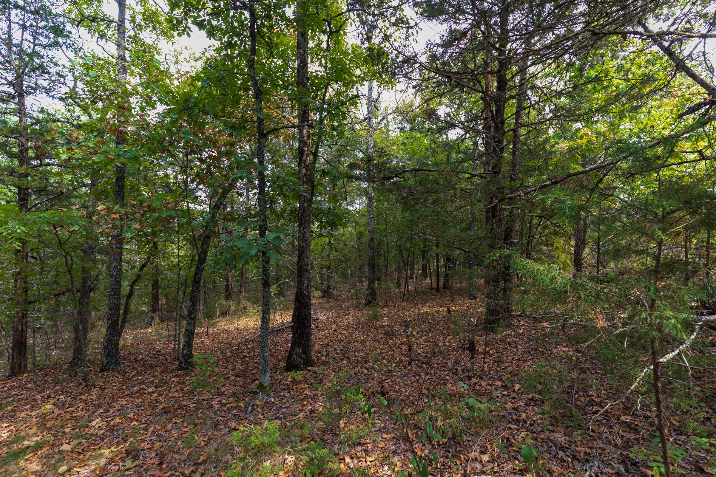 Tract 16 at Heritage Bend in Taney County, Missouri